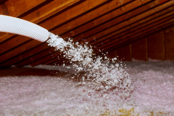 Best Fiberglass Insulation in Eagar, AZ