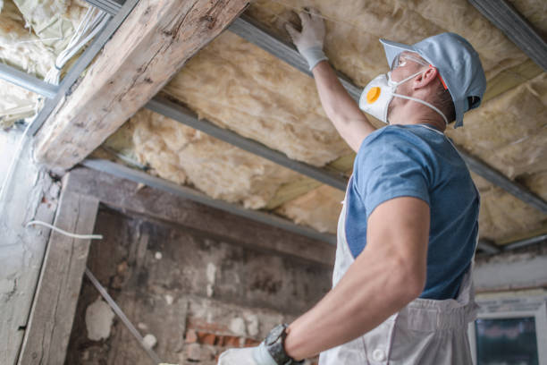 Best Residential Insulation in Eagar, AZ