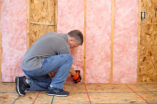 Best Insulation Maintenance and Repair in Eagar, AZ
