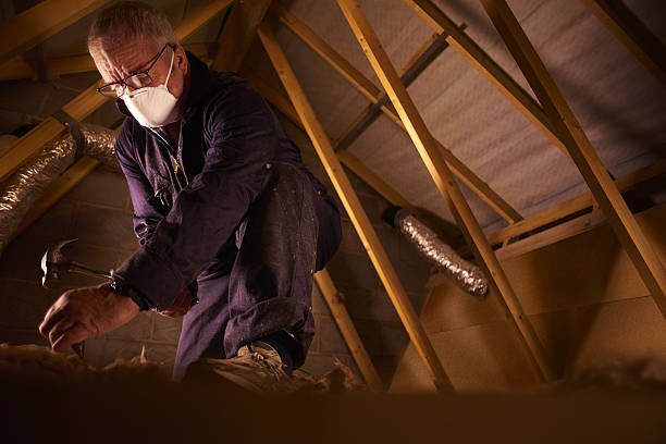 Best Geographic-Specific Insulation Services in Eagar, AZ